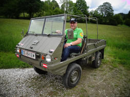 Steyr Puch Haflinger Bild 0