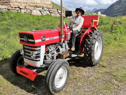 Massey-Ferguson 135