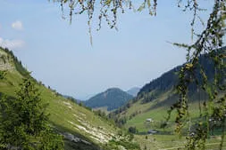 Ausfahrt auf die Trattbergalm Bild 12