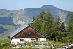 Ausfahrt auf die Trattbergalm Bild 0