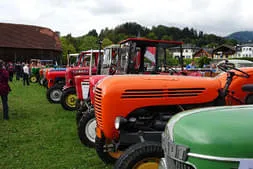 Oldtimertreffen Mondseeland 2018 Bild 41