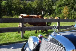 Bauernherbstfest Hintertal 2018 Bild 47