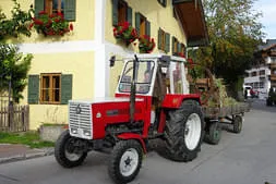 Bauernherbst Maria Alm Bild 18