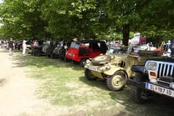 Oldtimertreffen Mondsee 2019 Bild 32