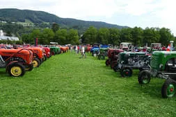 Oldtimertreffen Mondsee 2019 Bild 57