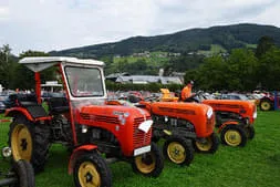 Oldtimertreffen Mondsee 2019 Bild 54