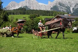 Bauernherbst Maria Alm 2019 Bild 20