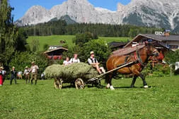 Bauernherbst Maria Alm 2019 Bild 21