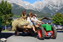 Bauernherbst Maria Alm 2019 Bild 45