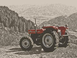 Massey Ferguson 135 Allrad Bild 60