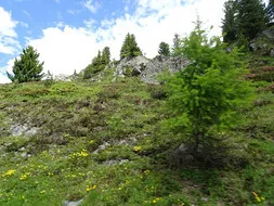 Ausflug nach Kärnten in Afritz am See Bild 22