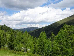 Ausflug nach Kärnten in Afritz am See Bild 25