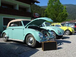 Ausflug nach Kärnten in Afritz am See Bild 50