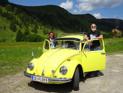 VW Käfer Bild 0