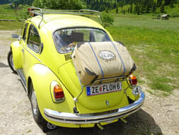 VW Käfer Bild 5