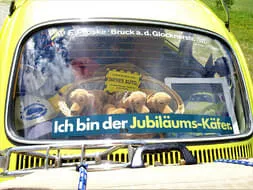 VW Käfer Bild 6