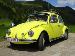 VW Käfer Bild 2