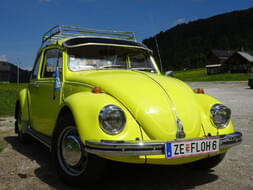 VW Käfer Bild 1