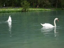 Ausflug zu Jägersee Bild 40