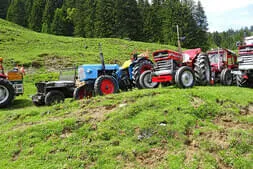 Almausflug auf die Hinterjetzbachalm Bild 22