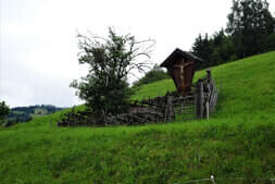 Almausflug Tödlingalm Bild 0