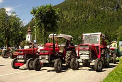 Oldtimer-Picknick Lofer Bild 4