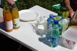 Oldtimer-Picknick Lofer Bild 22