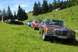 Oldtimer-Picknick Lofer Bild 13