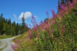 Almausflug Saalbach Bild 14