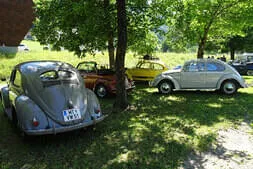 VW Käfertreffen Kärnten  Bild 70