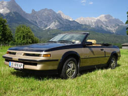 Pontiac Sunbird Bild 0