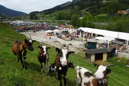 1. Leoganger Oldtimerfest Bild 53