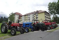 Sommerfest-Farmach Bild 4