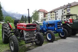 Sommerfest-Farmach Bild 2