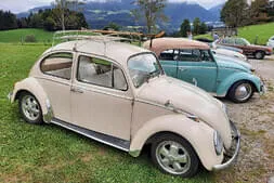 Pongauer - Oldtimerroas Bild 26