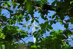 Frühjahrsausfahrt 2024 Bild 81