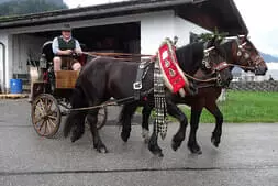 Bauernherbst Dorffest Maishofen 2024 Bild 82