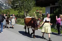 Bauernherbstfest  Hinterthal 2024 Bild 26