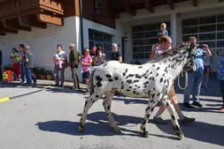 Bauernherbstfest  Hinterthal 2024 Bild 21