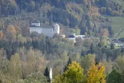 Tag der offenen Garagentür Bild 59