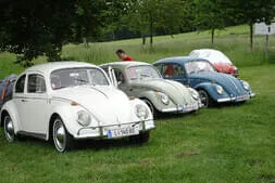 Käfertreffen-Reichenau Bild 28