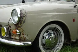 Käfertreffen-Reichenau Bild 44