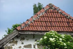 Käfertreffen-Reichenau Bild 58