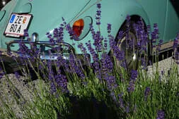 30 Jahre 1. Pinzgauer Oldtimerclub Bild 155
