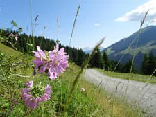 Almausflug-Elmaualm Bild 2
