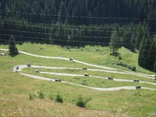 Almausflug-Elmaualm Bild 5