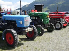 Almausflug-Elmaualm Bild 38