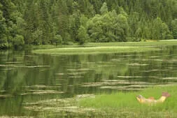 Alltagsklassiker & Sportwagenausfahrt Bild 10