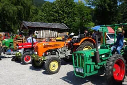 Oldtimertreffen Lofer Bild 19