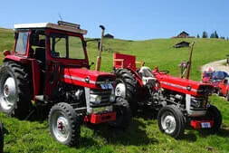 Oldtimertreffen Lofer Bild 57